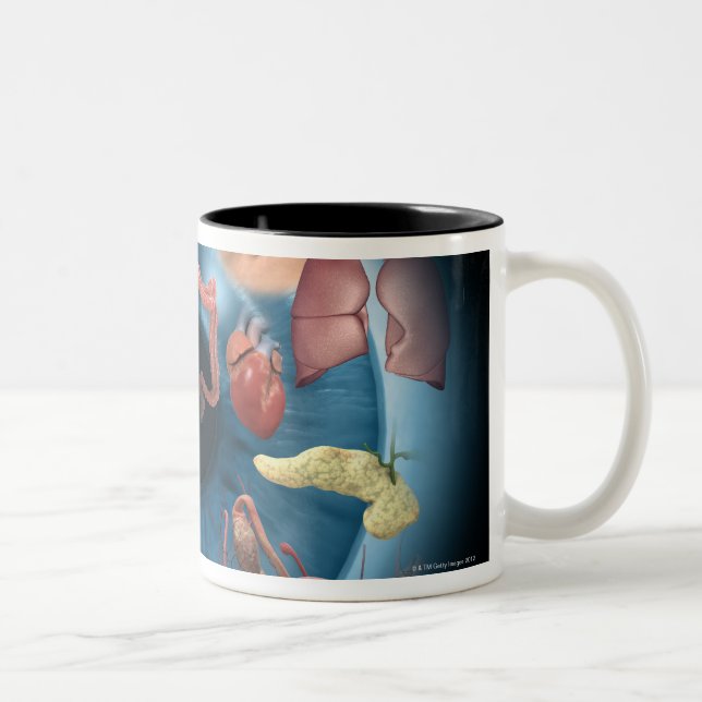 Taza Bicolor Iridology (Derecha)