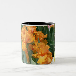 Taza Bicolor Iris anaranjados