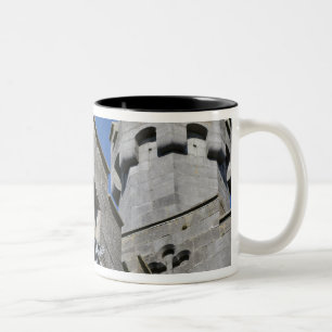 Taza Bicolor Irlanda, Condado de Kilkenny, castillo medieval.