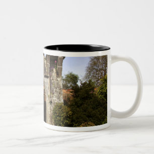 Taza Bicolor Irlanda, el jardín amurallado del castillo Dromola