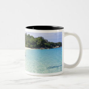 Taza Bicolor Isla Ko Miang, Islas Simil en el Mar de Andam,