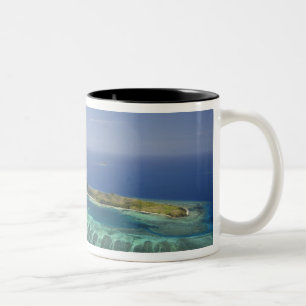 Taza Bicolor Isla Mana y arrecife de coral, Islas Mamanuca