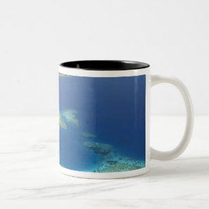 Taza Bicolor Isla Matamanoa y arrecife de coral, Isla Mamanuca