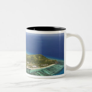 Taza Bicolor Isla Tokoriki, Islas Mamanuca, Fiji