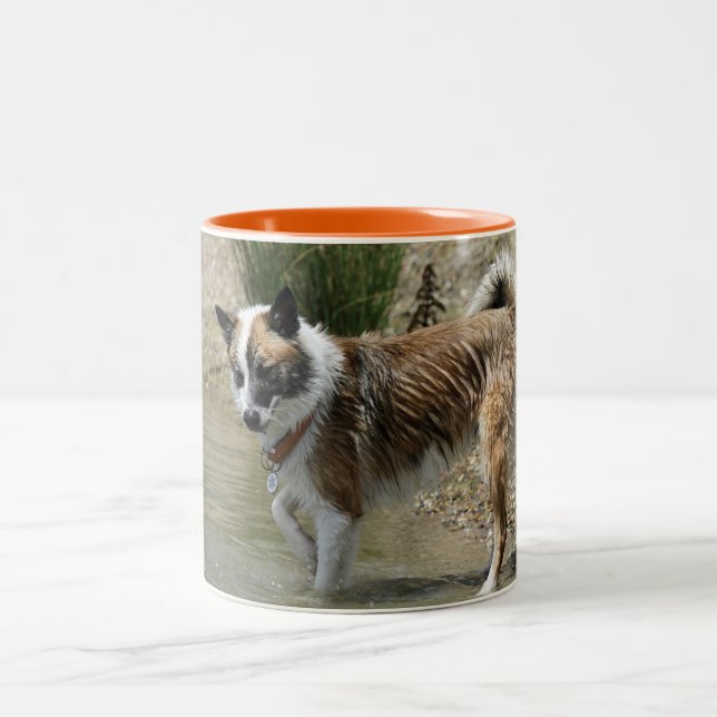 Taza Bicolor Islandhund (Centro)