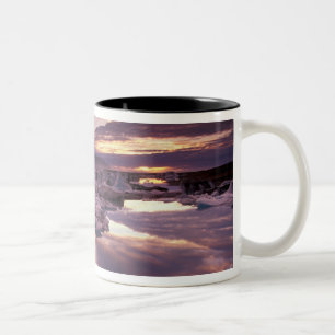 Taza Bicolor Islandia, Laguna Jokulsarlon, Paisaje