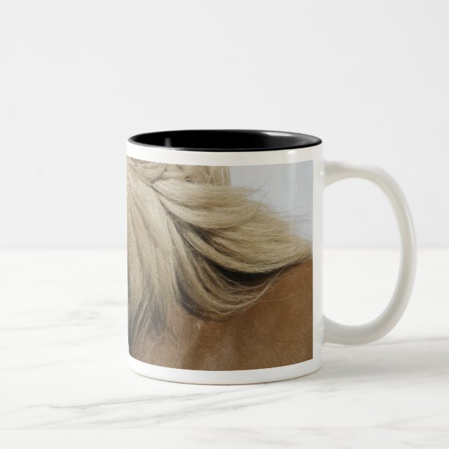 Taza Bicolor Islandia. Retrato de un caballo islandés. (Derecha)