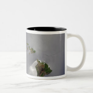 Taza Bicolor Islas hawaianas