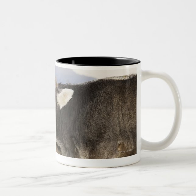 Taza Bicolor Italia, alto el Adigio (Derecha)