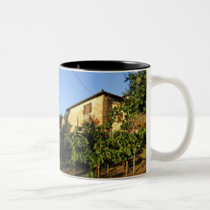 Taza Bicolor Italia, Toscana, Greve. Escenas de vino de verano 