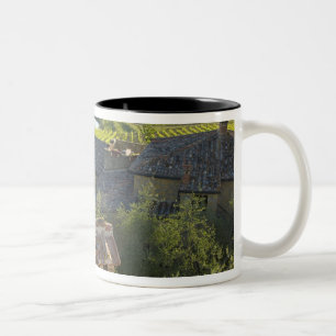 Taza Bicolor Italia, Toscana. Vista de la villa en la azotea