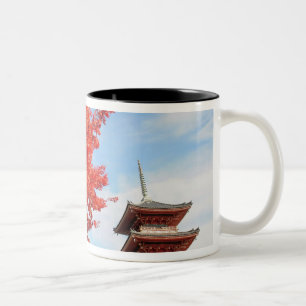 Taza Bicolor Japón, Kioto. Templo de Kiyomizu en color de oto