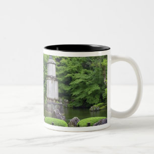 Taza Bicolor Japón, Kyoto, Jardín de Piedra Silenciosa