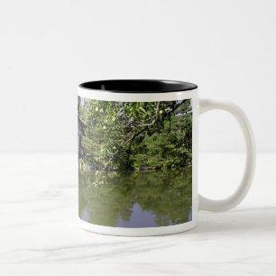 Taza Bicolor Japón, Kyoto, Jardín Japonés del Santuario Heian