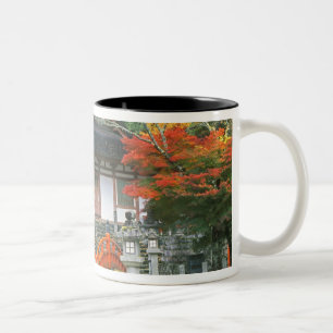 Taza Bicolor Japón, Nara, Templo Ryuzenji