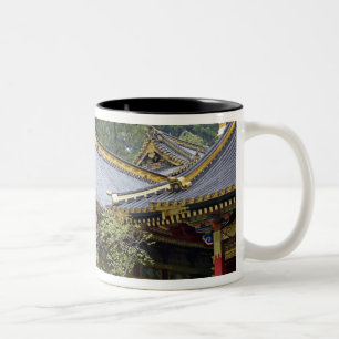 Taza Bicolor Japón, Nikko. Santuario y mausoleo de Toshogu en 2