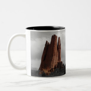 Taza Bicolor Jardín de dios