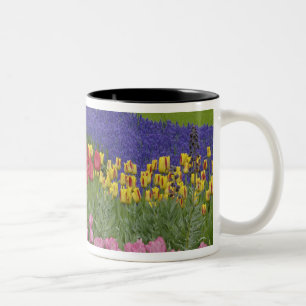 Taza Bicolor Jardín de tulipanes, jacintos de uva y