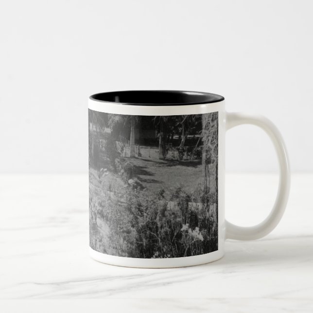 Taza Bicolor Jardín de un chalet suburbano (Derecha)