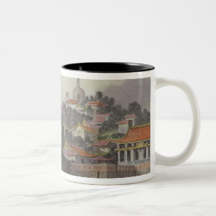 Taza Bicolor Jardín del palacio imperial, Pekín, de 'China