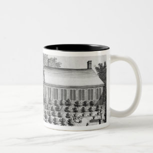 Taza Bicolor Jardín holandés, de "De Nederlandze Hesperides"