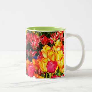 Taza Bicolor Jardín soleado