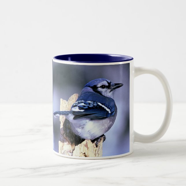 Taza Bicolor Jay azul, Jay azul (Derecha)