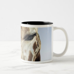 Taza Bicolor Jirafa