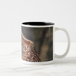 Taza Bicolor Jirafa 2 de Massai