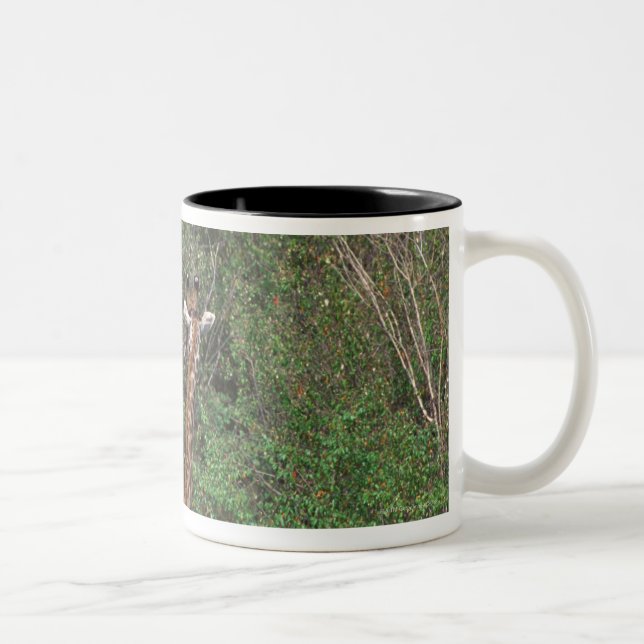 Taza Bicolor Jirafa 3 de Massai (Derecha)