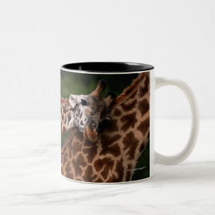 Taza Bicolor Jirafa (tippleskirchi de los camelopardalis de la