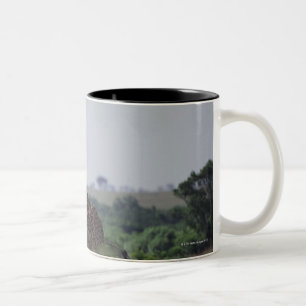 Taza Bicolor Jirafas en África