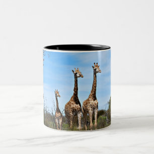 Taza Bicolor Jirafas en Vista del Cielo Abierto
