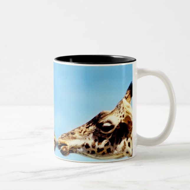 Taza Bicolor Jirafas que tocan narices (Derecha)