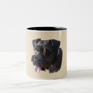 Taza Bicolor Joven el Schnauzer