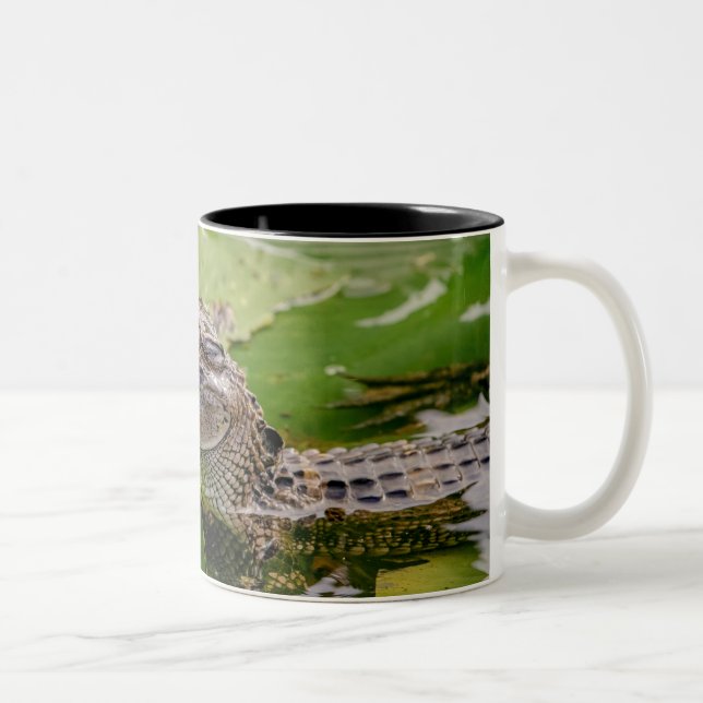Taza Bicolor Joven lagarto (Derecha)