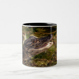 Taza Bicolor Joven lagarto