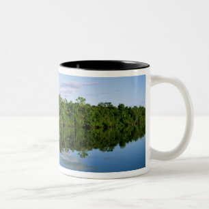 Taza Bicolor Juruena, Brasil. Orilla del río boscosa reflejada