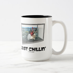 Taza Bicolor Just Chillin' (Tanque de pescado de buceo Java Duk