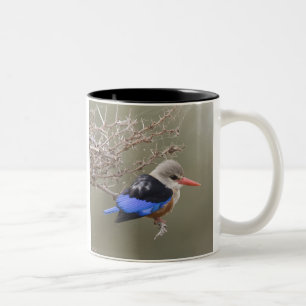 Taza Bicolor Kenia. Primer plano de martín pescador cabecigrís