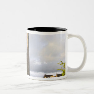 Taza Bicolor Kilkenny, Irlanda. A Killkenny también se le conoc