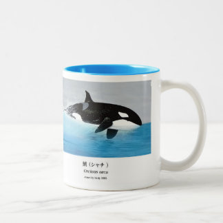 Taza Bicolor Killerwhale , Orcinus orca