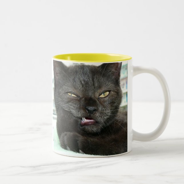 TAZA BICOLOR KIS KIS (Derecha)