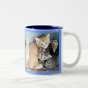 Taza Bicolor Kitten Mug