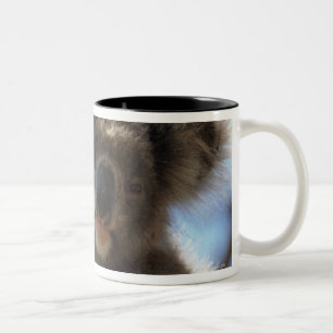 Taza Bicolor koala