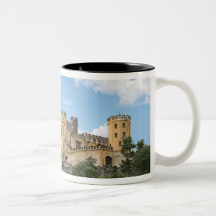 Taza Bicolor Koblenz, Alemania, Castillo Stolzenfels, Schloss