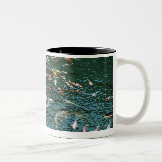 Taza Bicolor Koi en una charca (Derecha)