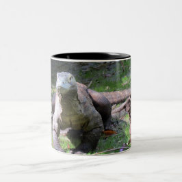 Taza Bicolor Komodo Dragon (0606) Mug