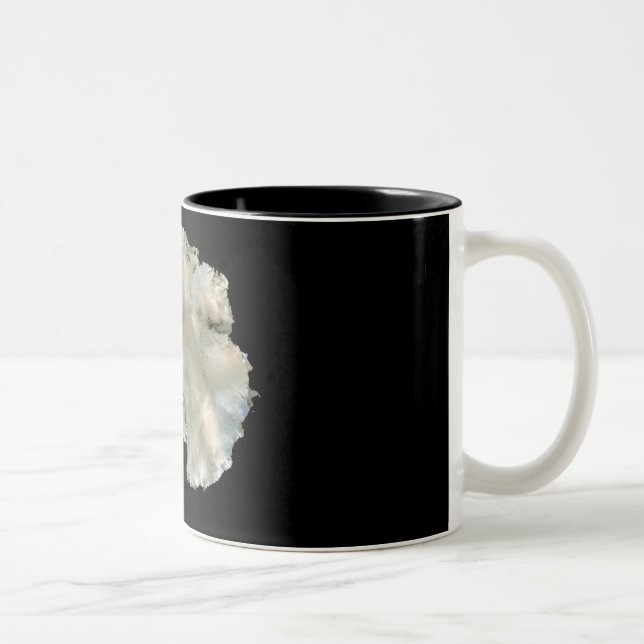 Taza Bicolor La Antártida (Derecha)