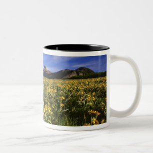Taza Bicolor La balsomroot de hoja de flecha cubre la pradera c